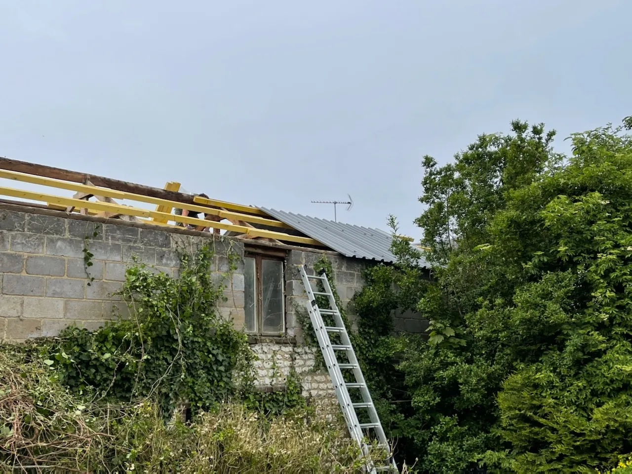 Réfection de la toiture d'un garage, échelle contre le mur